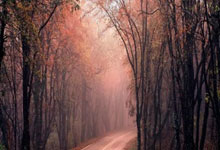 纽卡斯尔球队比赛近况-JBO网页版